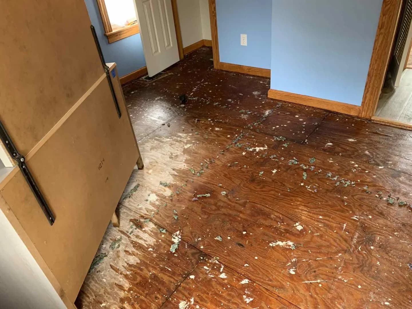 Parquet endommagé par un dégât des eaux dans un appartement avec traces d'infiltration au sol